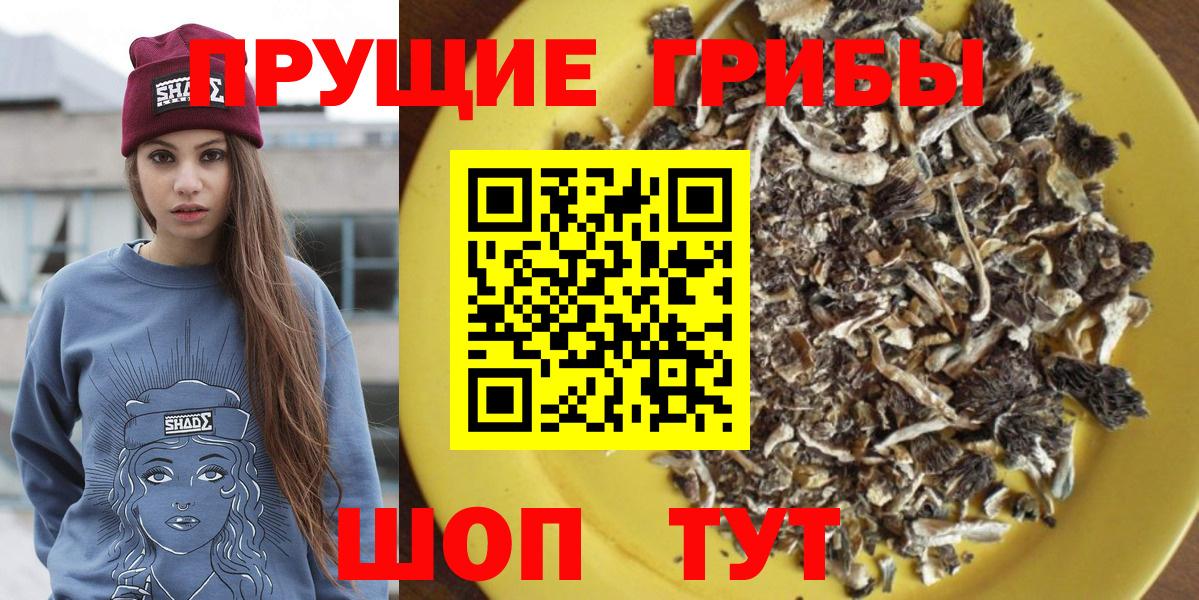 Псилоцибиновые грибы мухоморы  Псилоцибиновые грибы Psilocybe  Вход с VPN  Торжок 